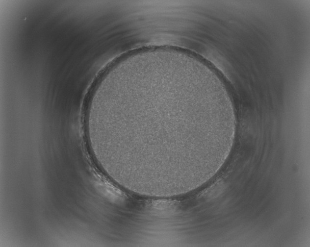 X0000074970832200609081409