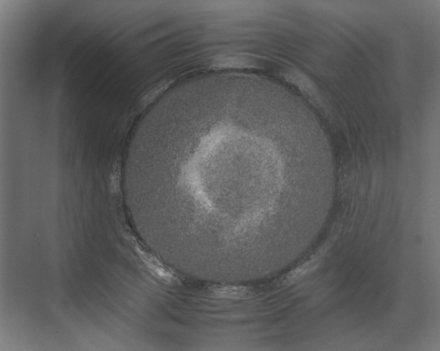 X0000074970833200609081409