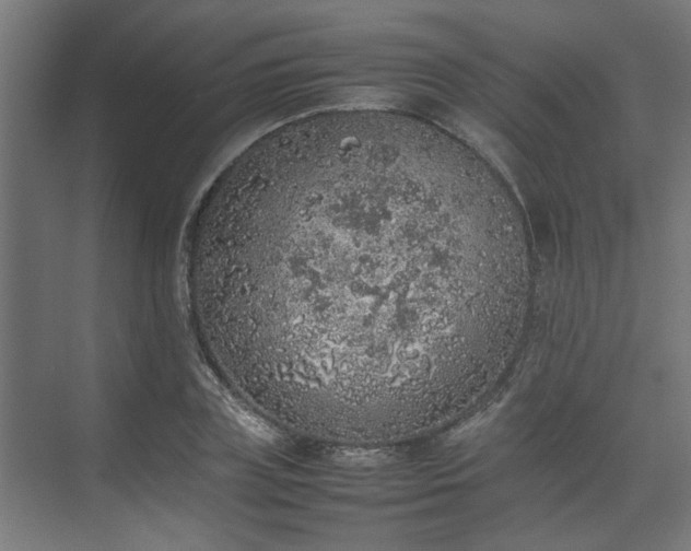 X0000074970835200609081409