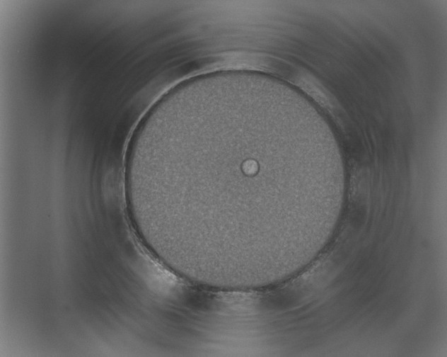 X0000074970836200609081409