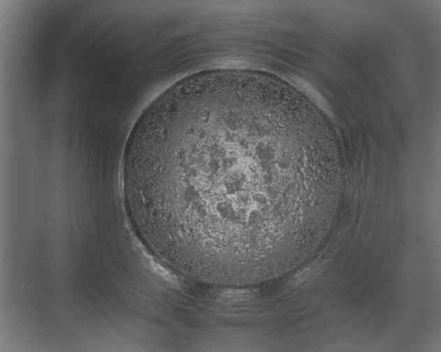 X0000074970839200609081409