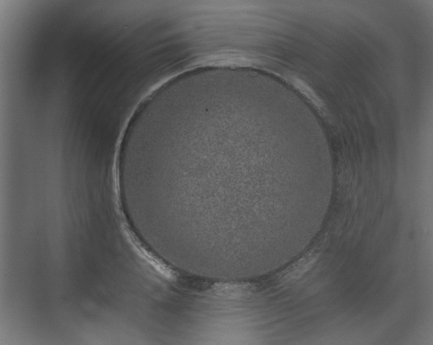 X0000074970840200609081409