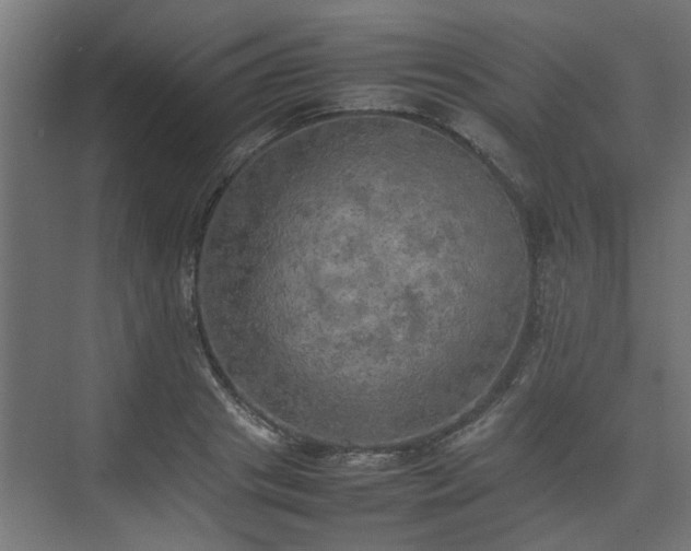 X0000074970841200609081409