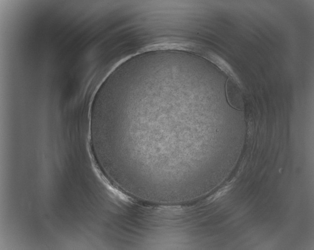 X0000074970844200609081409