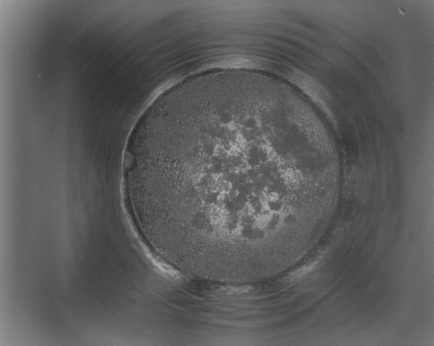 X0000074970845200609081409