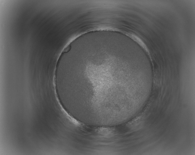 X0000074970847200609081409