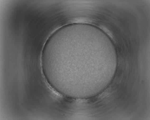 X0000074970848200609081409