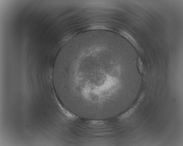 X0000074970849200609081409