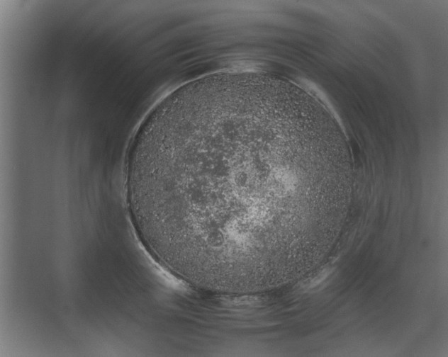 X0000074970851200609081409