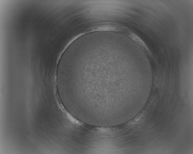 X0000074970852200609081409