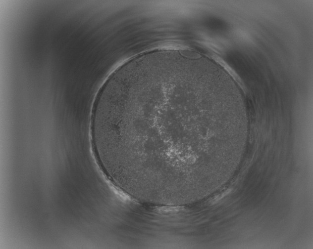 X0000074970853200609081409