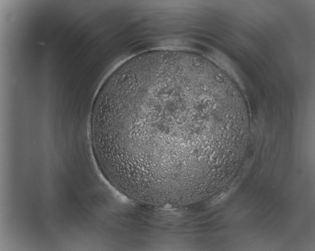 X0000074970855200609081409