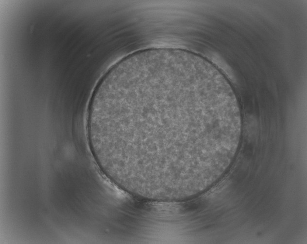 X0000074970856200609081409