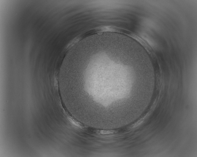 X0000074970857200609081409