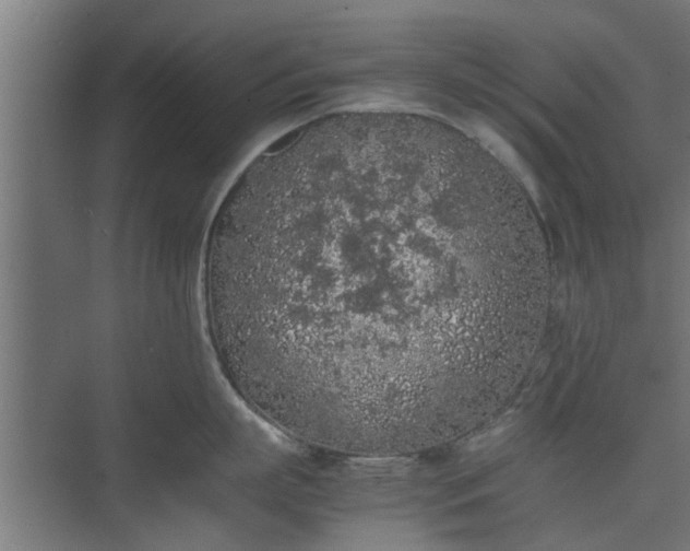 X0000074970863200609081410