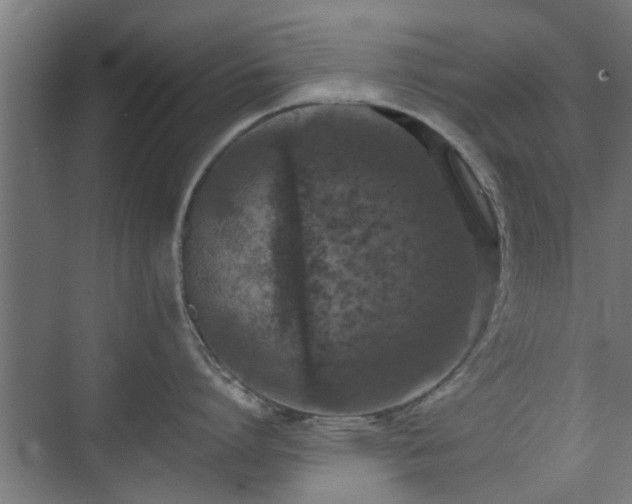 X0000074970864200609081410