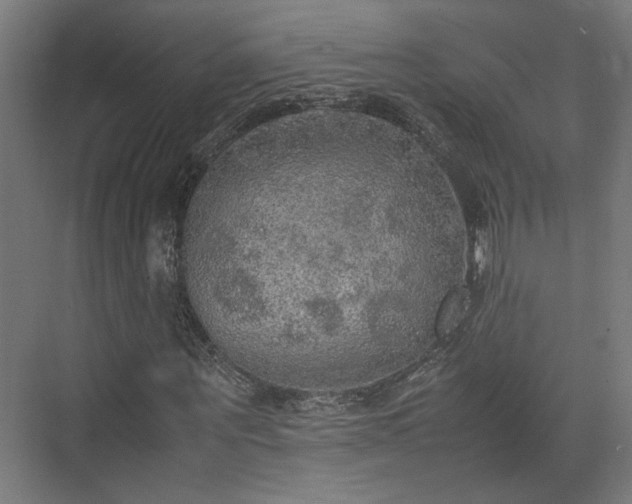 X0000074970867200609081409