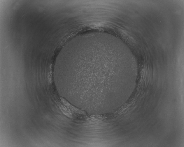 X0000074970868200609081409