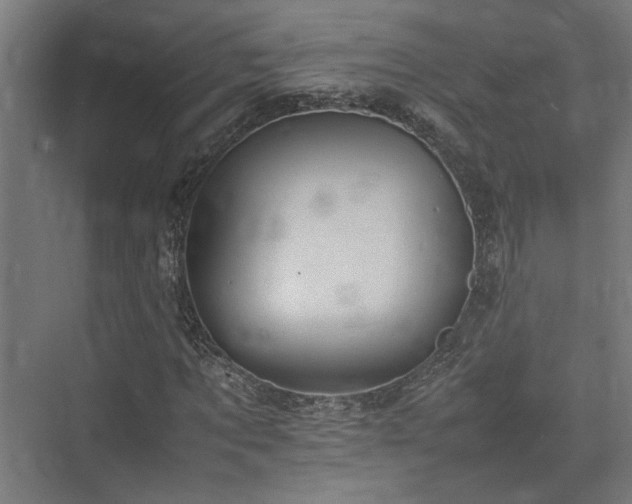 X0000074970869200609081409