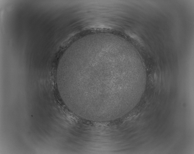 X0000074970870200609081409