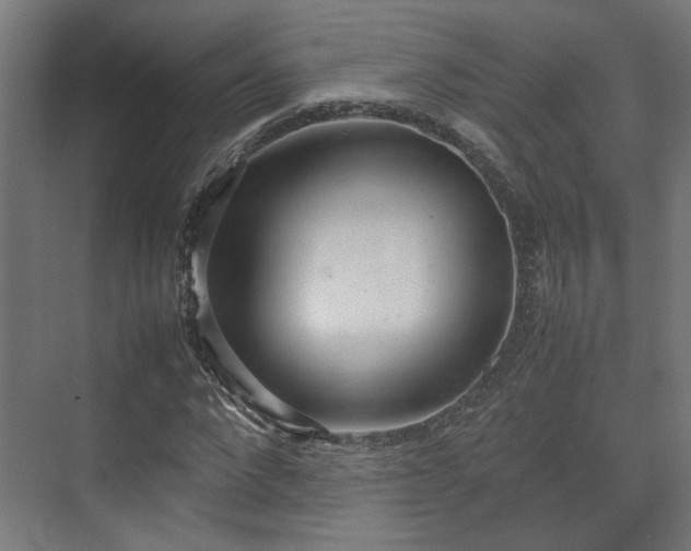 X0000074970872200609081409