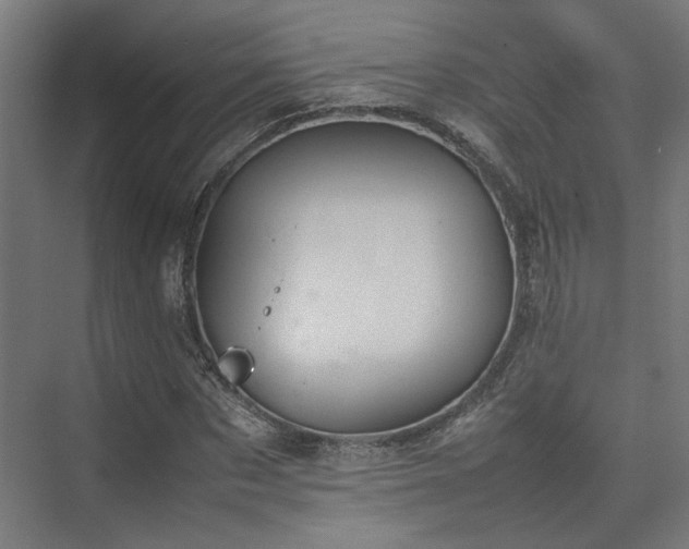 X0000074970873200609081409