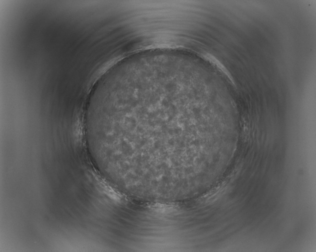 X0000074970874200609081409