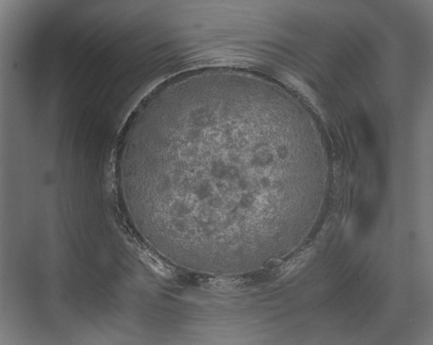 X0000074970875200609081409