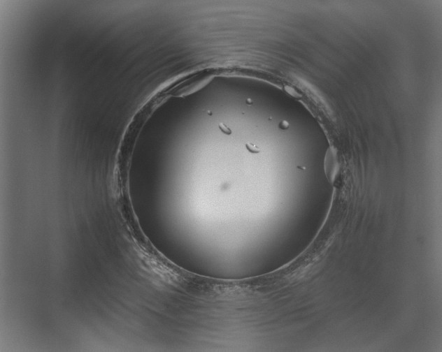 X0000074970876200609081409