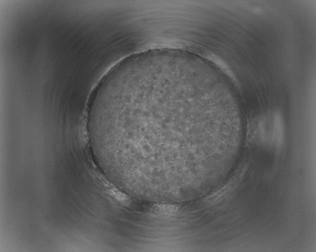 X0000074970878200609081409