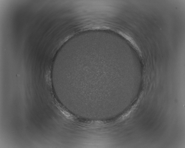 X0000074970881200609081408