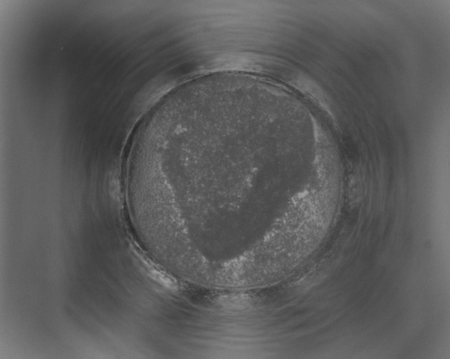 X0000074970882200609081408