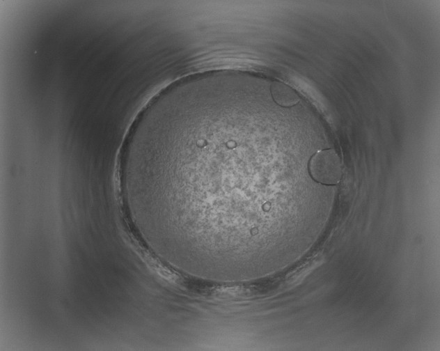 X0000074970883200609081408