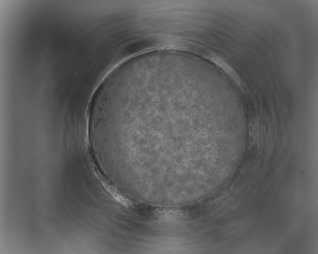 X0000074970886200609081408