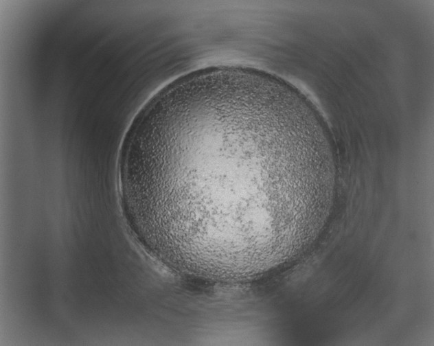 X0000074970887200609081408