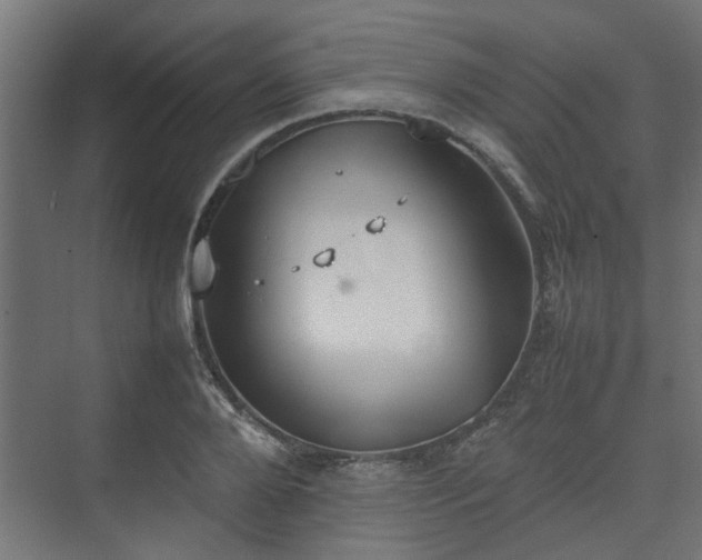 X0000074970888200609081408