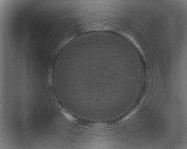 X0000074970889200609081408