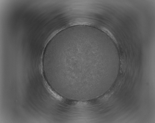 X0000074970890200609081408