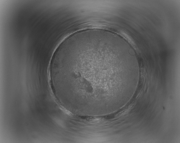 X0000074970891200609081408