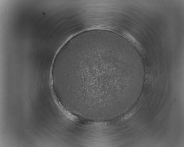 X0000074970892200609081408