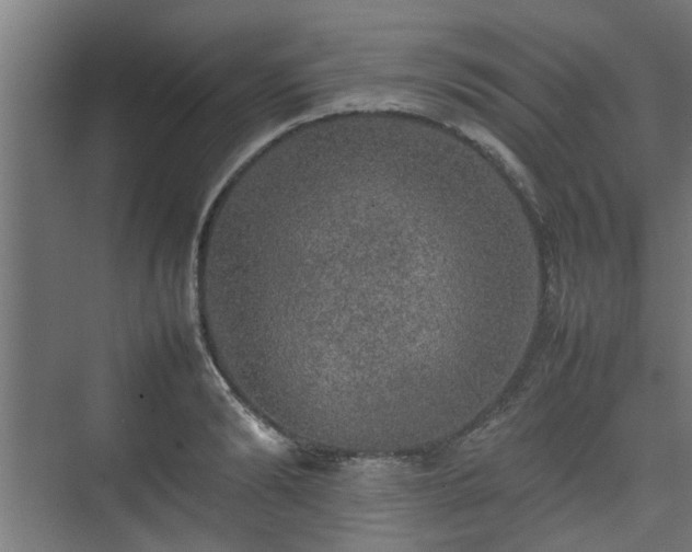 X0000074970894200609081408