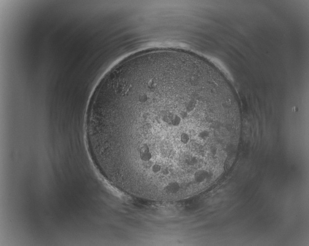 X0000074970895200609081408