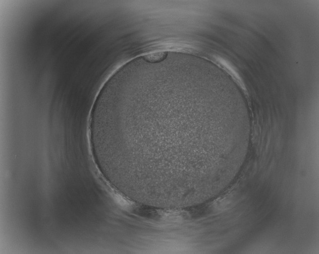 X0000074970899200609081408