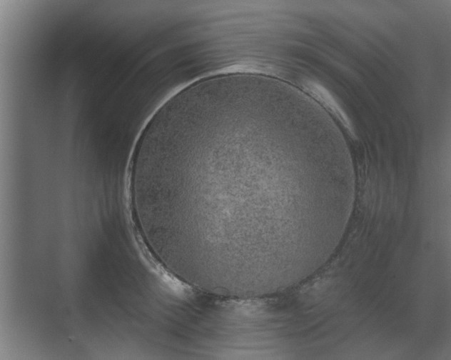 X0000074970900200609081408