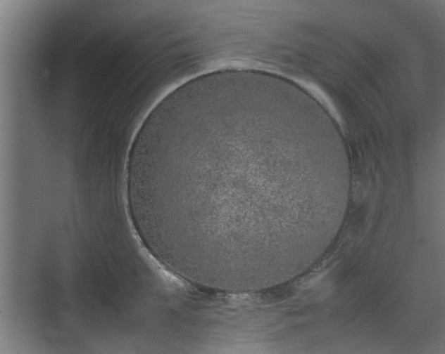 X0000074970903200609081408