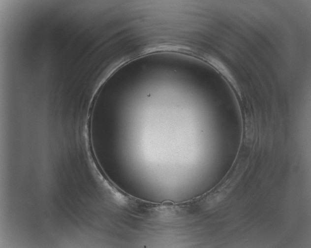 X0000074970906200609081408