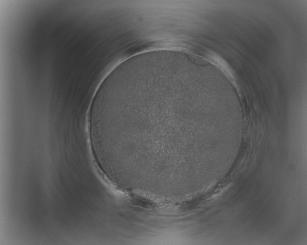 X0000074970907200609081408