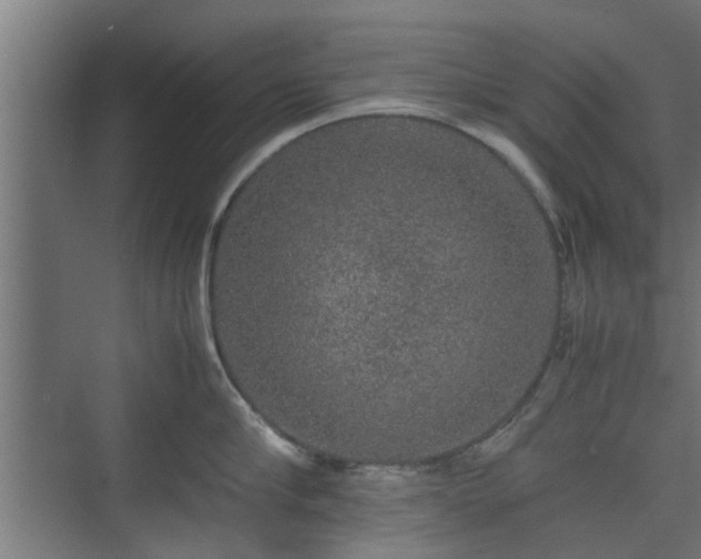 X0000074970910200609081408