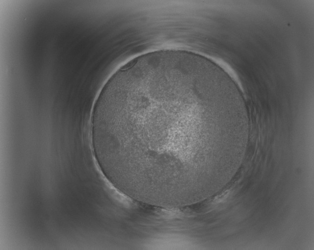 X0000074970911200609081408