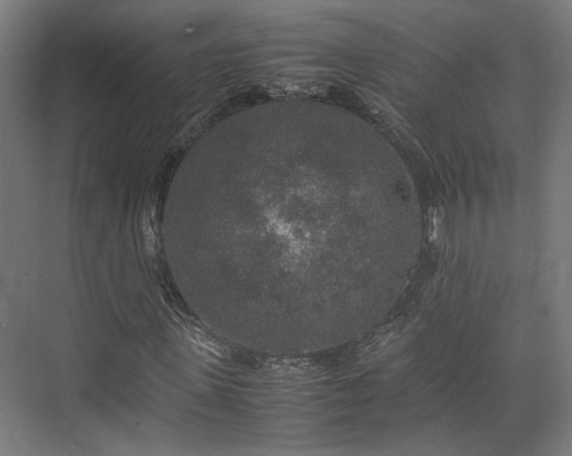 X0000074970915200609081407